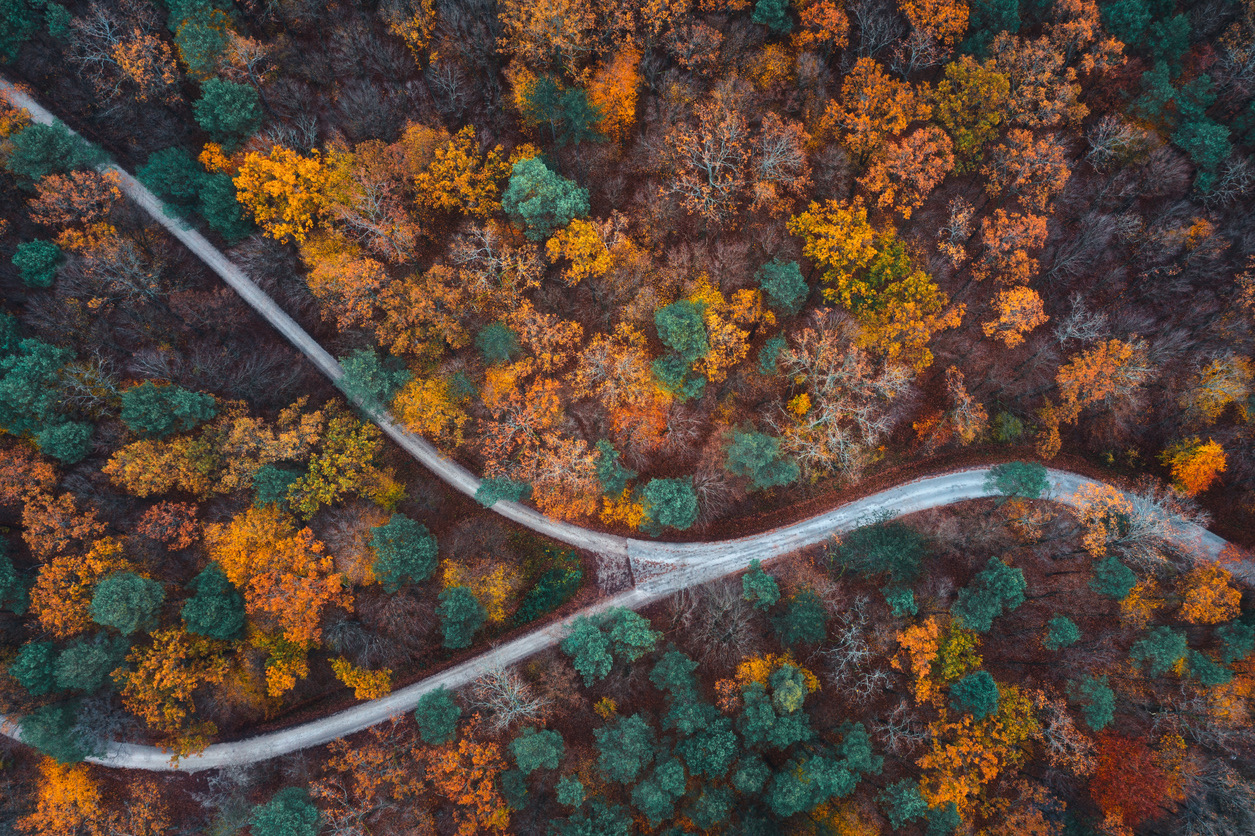 Full rewrite or progressive modernization: how to choose?